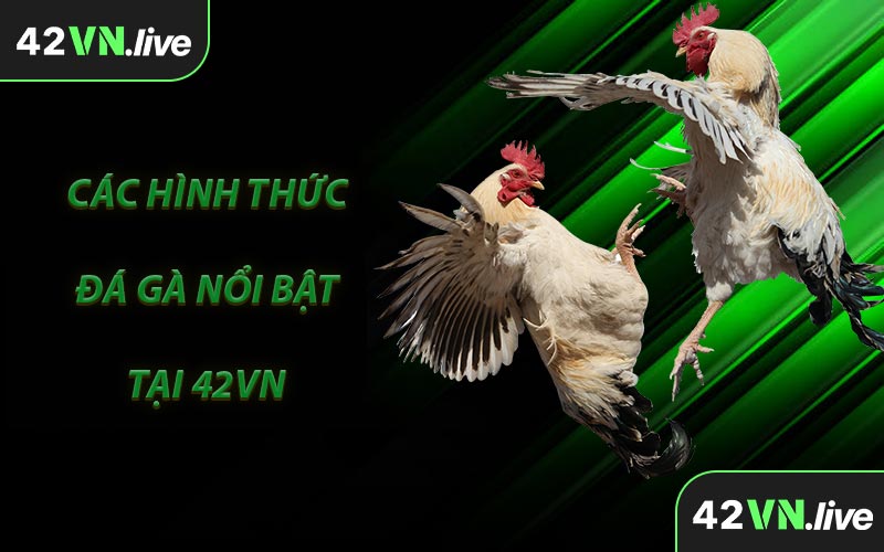 Các Hình Thức Đá Gà Nổi Bật Tại 42VN