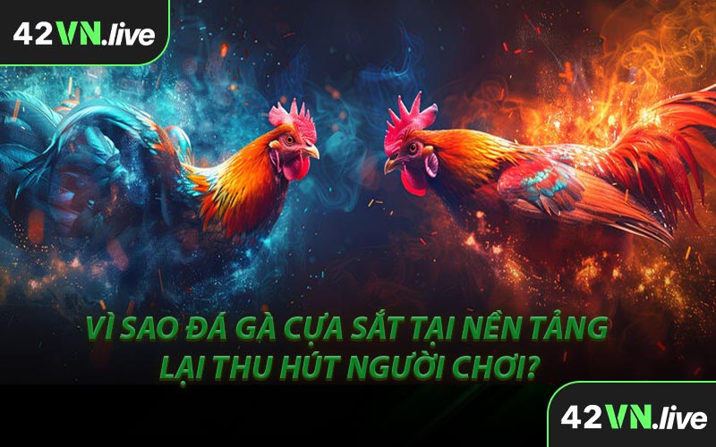 Vì Sao Đá Gà Cựa Sắt Tại Nền Tảng Lại Thu Hút Người Chơi?
