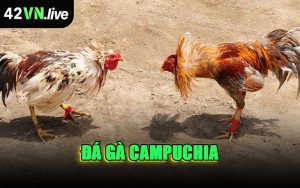 Đá Gà Campuchia