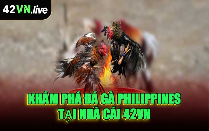 Khám Phá Đá Gà Philippines Tại Nhà Cái 42VN