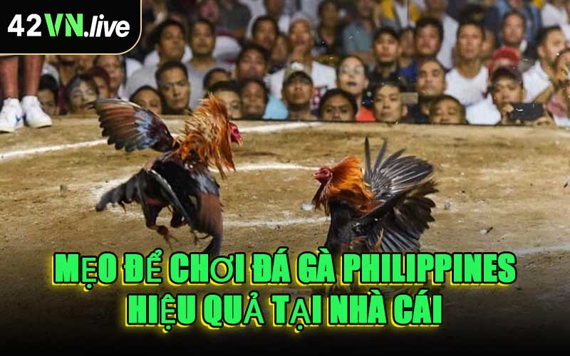 Mẹo Để Chơi Đá Gà Philippines Hiệu Quả Tại Nhà Cái
